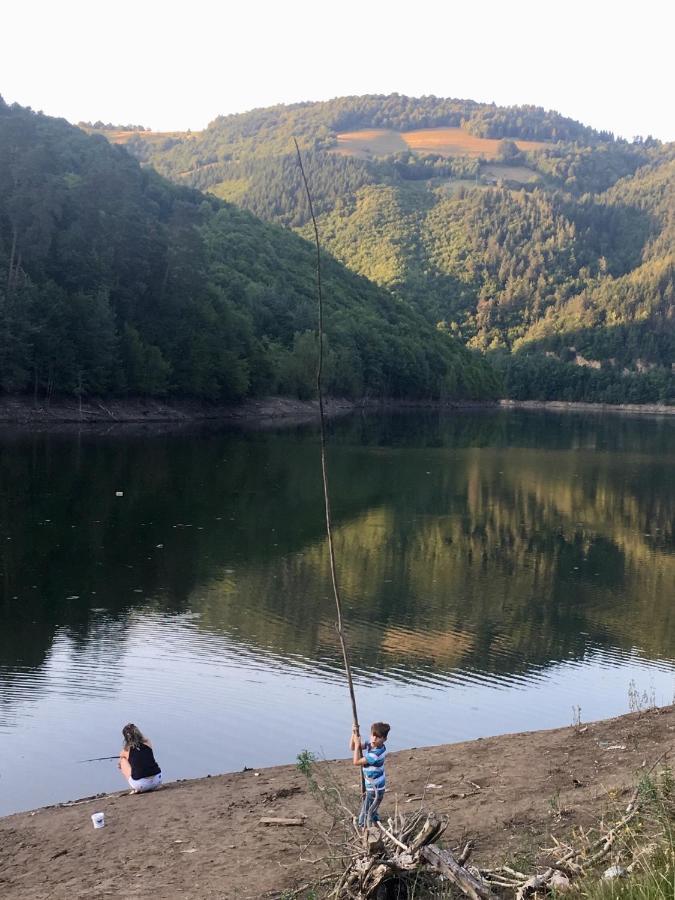 Cabana Baraj Apuseni Mountains Mihoesti ภายนอก รูปภาพ