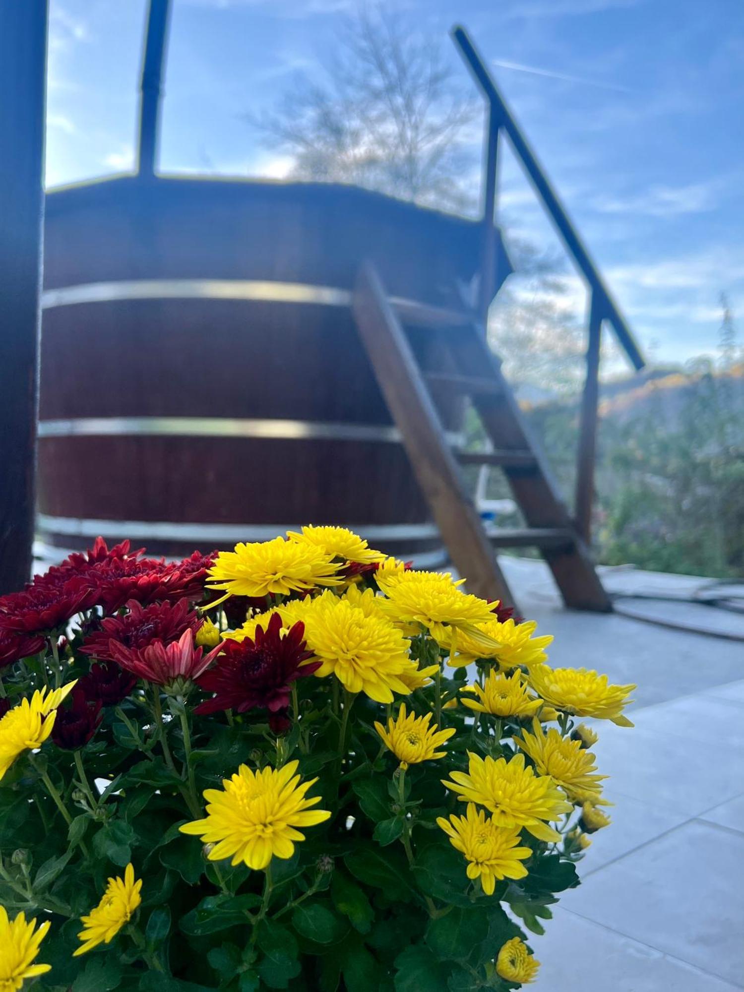 Cabana Baraj Apuseni Mountains Mihoesti ภายนอก รูปภาพ